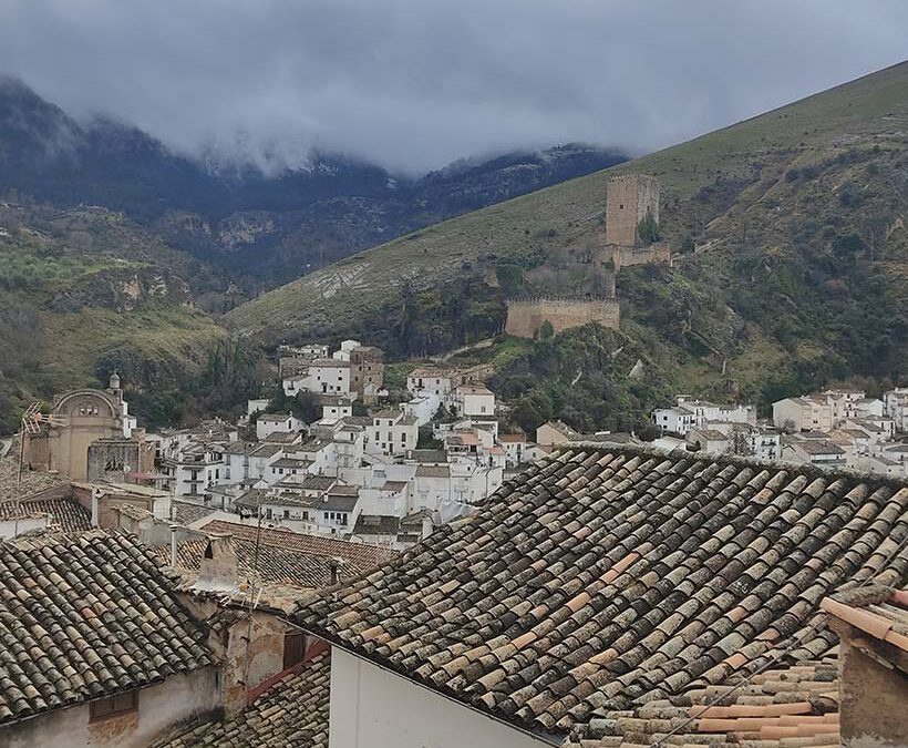 Vivienda Unifamiliar C350