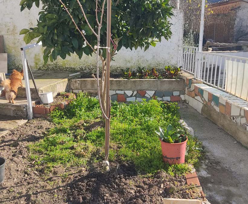 Vivienda Unifamiliar C385