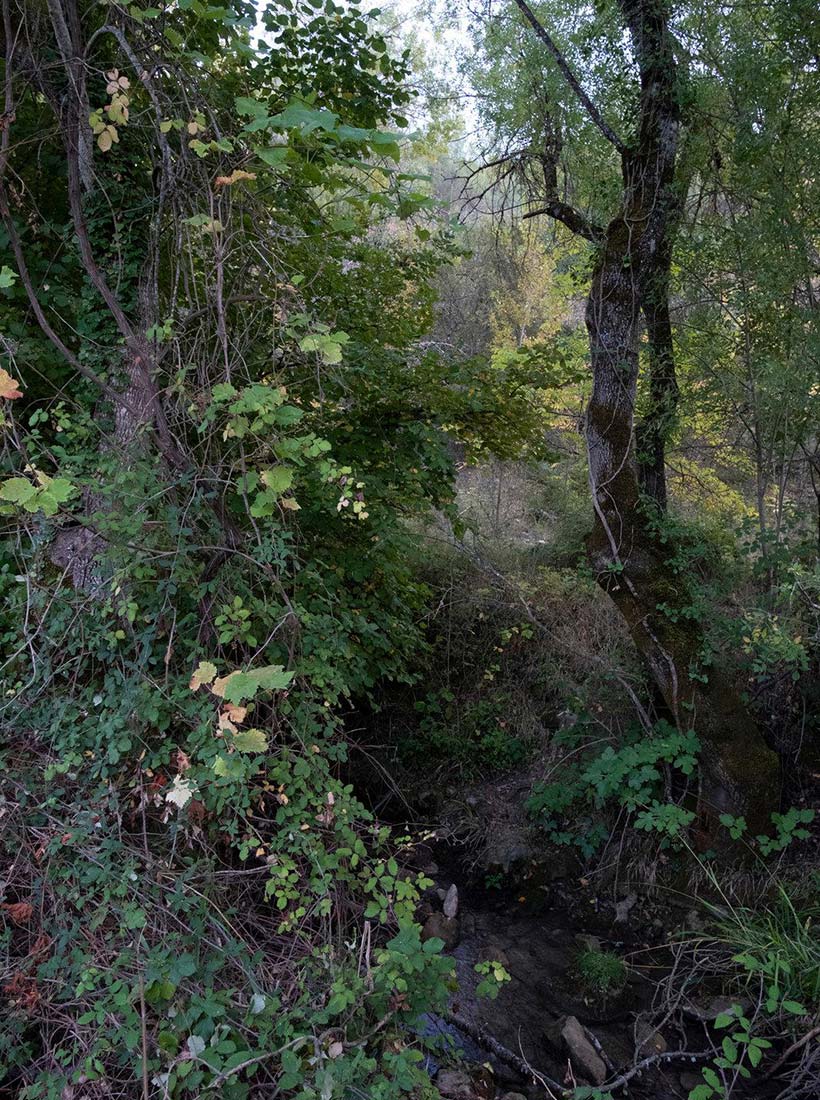 Cortijo para rehabilitar C398 en venta en Peal de Becerro